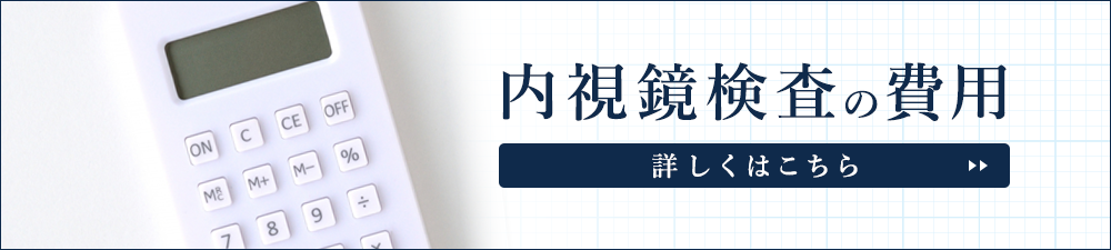 内視鏡検査の費用