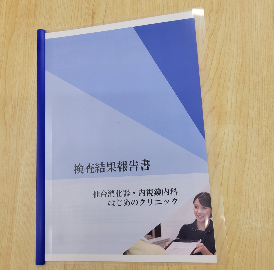 結果説明ファイル
